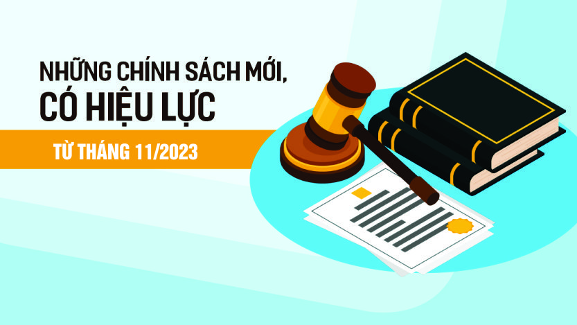 Các chính sách nổi bật có hiệu lực trong tháng 11/2023